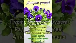 #Svetlana Видео открытки
