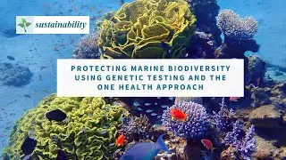 Protecting Marine Biodiversity Using Genetic Testing