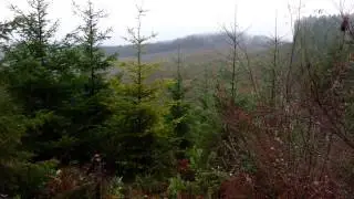 12ga logging