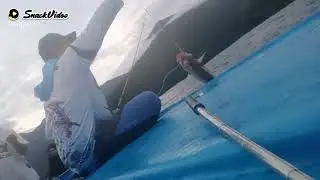 Luar biasa alam Papua 