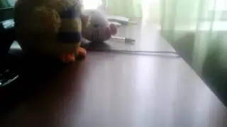 Боня идёт в школу (часть 1)