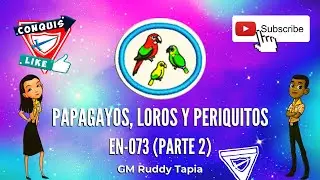 Avance de la Especialidad de Papagayos, loros y periquitos (Segunda Parte) 👨💻