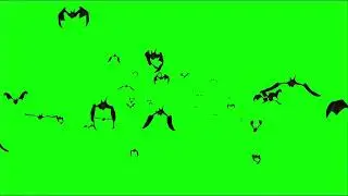 Bat Green Screen Video 🦇// Chroma key || Free no copy right