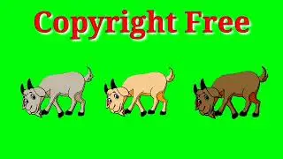 animal green screen cartoon @green sreen& cartoon@