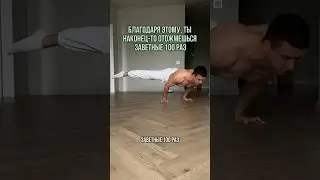 Благодаря этому ты наконец-то сможешь отжаться 100 раз!🤯 Бесплатная программа в моём телеграмме