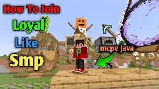 how to join loyal like smp java mcpe pojav 24/7 public smp server