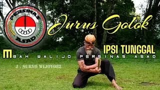 mbah walijo persinas asad's single ipsi stance attractions