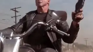 The terminator