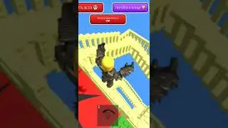conga signa 