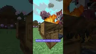 ❗️Залетай: 