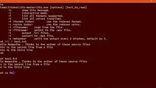 Build your own text to speech command line tool on Windows Speech API
