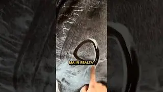 Foam on horses 🐎🤔