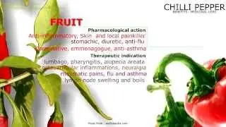 Chilli pepper. Benefits, medicinal properties of chilli pepper plant
