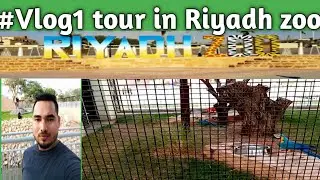 First vlog @riyadh zoo ,Saudi Arabia