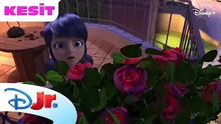 Mucize: Uğur Böceği ile Kara Kedi I Marinette'nin Kabusu 😧I Disney Türkiye
