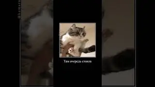 комару и тампоны для Алёны... 