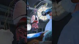 Experience the 5G Revolution: A Glimpse Into the Future of Connectivity