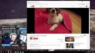 DeeThane - Reakční video na holku co TOPÍ psy ve vaně|