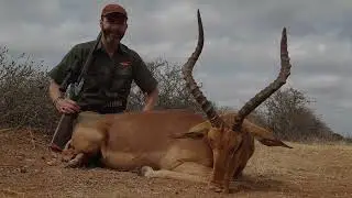 Buffalo & Lion Plains Game Hunt 2023
