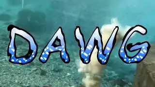 DAWG Underwater (плавающие собаки)