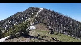 Griffith Peak Summit Trip | Mt Charleston Wilderness | Spring Mountains, Nevada