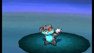 Pokemon Black Textured LP #1-Look At The Colors