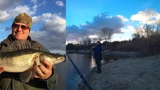 Not Correct PEAR Carp Pike-perch in a SMALL Lake