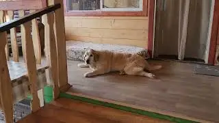 😊🙏