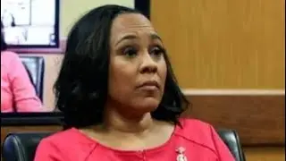 Update on the Fani Willis case