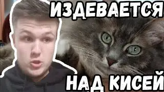 YOY ИЗДЕВАЕТСЯ НАД СВОЕЙ КОШКОЙ [Нарезка со стрима yoy.]