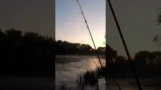 #catfishing