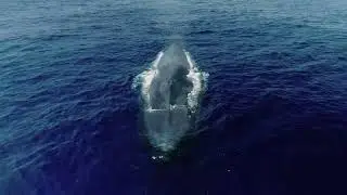 Oceans research at UVic