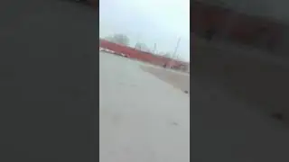 1 марта 2019 г.