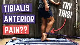 Tibialis Anterior Pain | Are You Missing These Exercises???