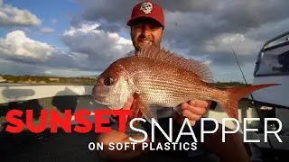 Sunset Snapper on soft plastics - Port Phillip Bay