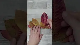 🦚ПАВЛИН🍁ОСЕННИЕ ПОДЕЛКИ из ПРИРОДНОГО МАТЕРИАЛА.Поделки своими руками.Diy crafts
