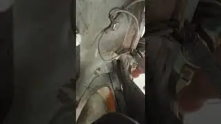 Приятный сигнал волги на газель