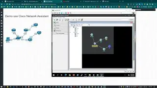 Cisco tools automatically create System Networks in your Organization.