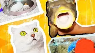 НА  РЫБАЛКУ В АШАН РЫБАЛКА 2019