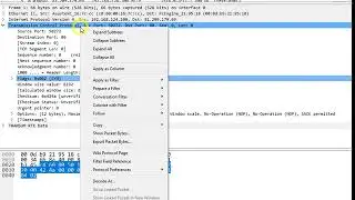 Wireshark Tip #09: Changing Protocol Preferences