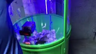 как выиграть деньги в автомате?