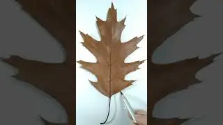 Real or fake, autumn leaf drawing