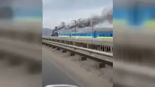 video 177565509 456244317