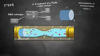 Course 6 - Fluid Mechanics