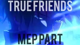 True Friends MEP part
