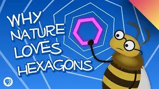 Why Nature Loves Hexagons