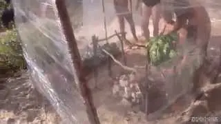 Баня на реке Лух