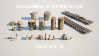 3D Scanned Photorealistic Pack Vol  01