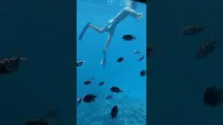 Excursion Bathyscaphe in Hurghada - semi-submarine #excursions #hurgada #bathyscaphe #underseaworld