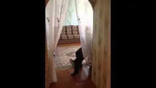 Как правильно бить брата